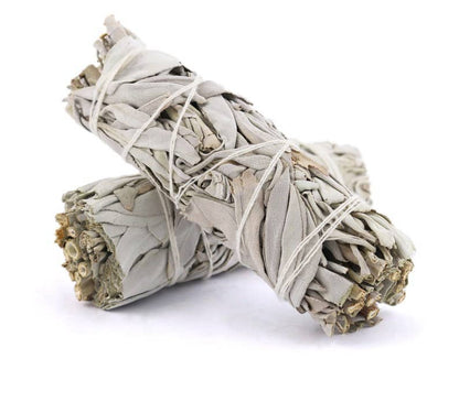 4" California White Sage Smudge Stick Bundle | Cleansing & Purification