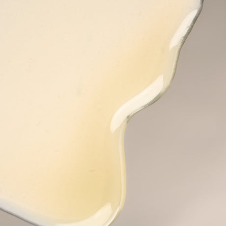 The Lipid Lotion: Biomimetic Emollient for All Skin Types