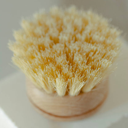Casa Agave™ Long Handle Dish Brush