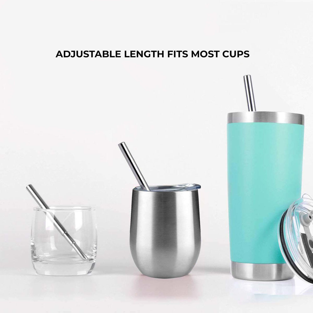 Collapsible Metal Straw & Travel Case