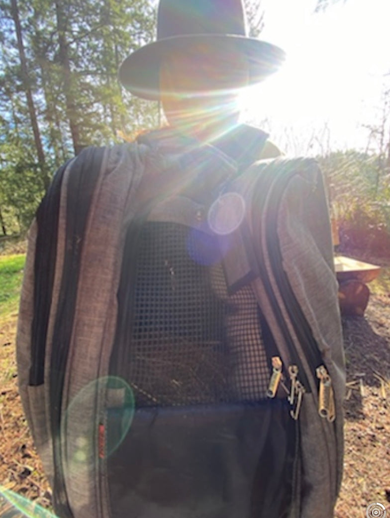 Adventure Backpack - Black